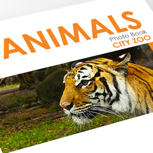 Zoo Picture Book